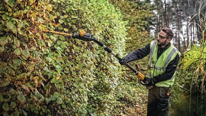 Man using a DeWalt pole hedge trimmer