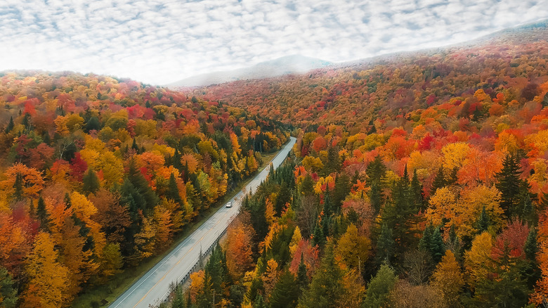 A view of fall foliage, road, and mountains in New England