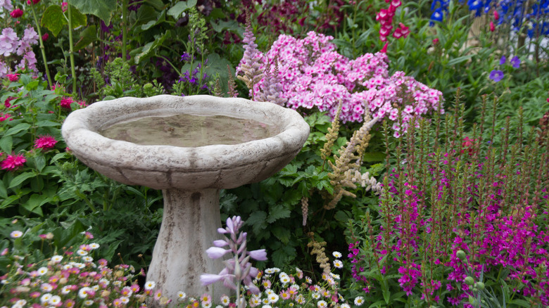 A concrete birdbath surrounded by various flowers in a cottage garden.
