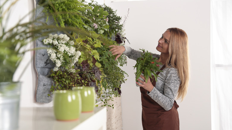A woman holds a potted plant and cares for an indoor vertical garden