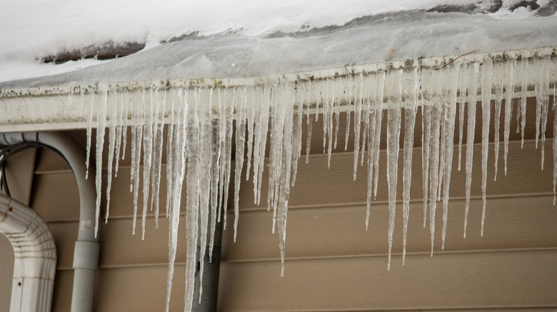 Icicles hanging off gutters.