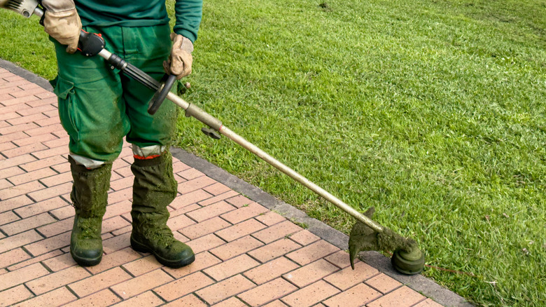Man using trimmer to edge lawn