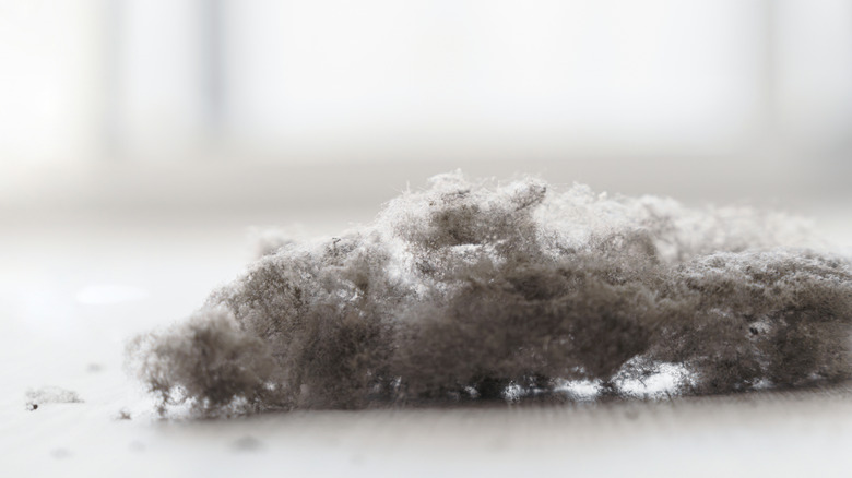 A dust bunny on a white floor