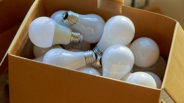 Rows of lightbulbs in a cardboard box