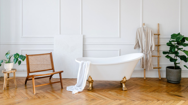A retro-style clawfoot bathtub