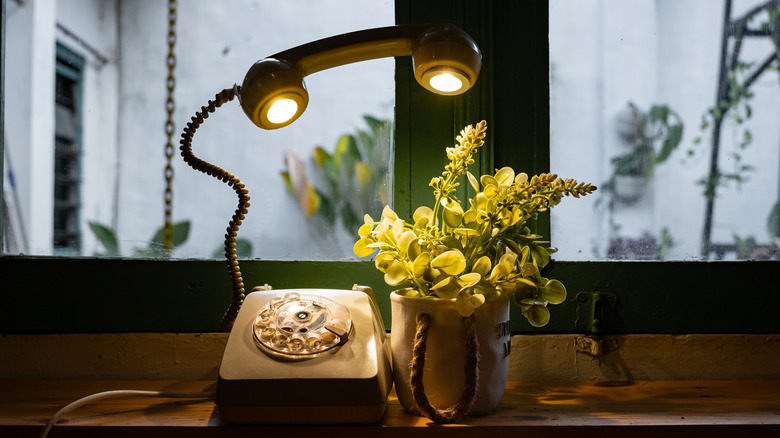 Converted rotary phone lamp on a dark desk with a live plant