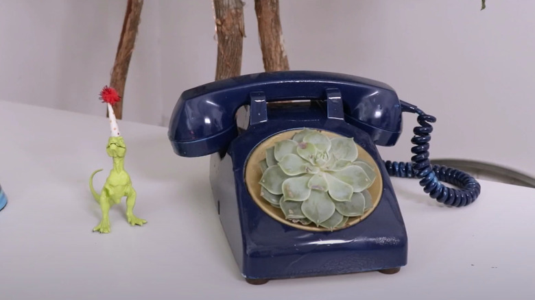 navy blue rotary phone with a succulent plant growing from the center next to a figure of a dinosaur on a table