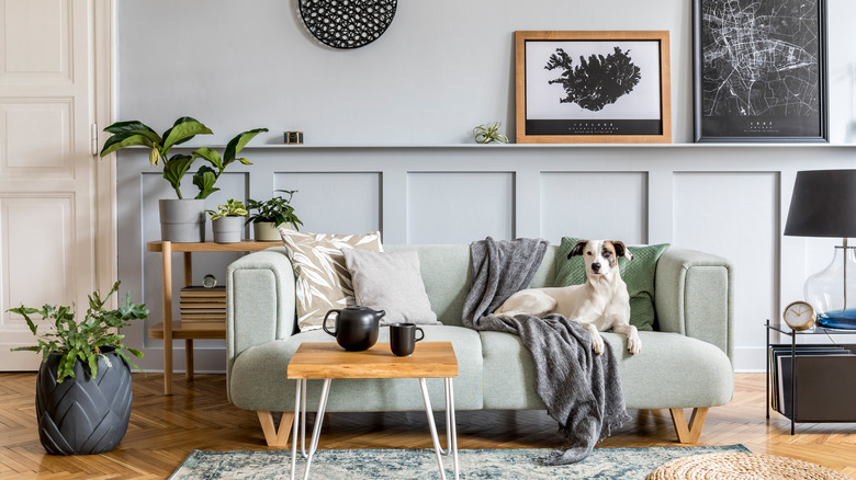 A living room space with a dog sitting on a daybed and wood fixtures and plants placed throughout the room