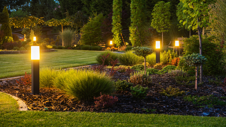 Backyard with variety of asymmetrical planting groups