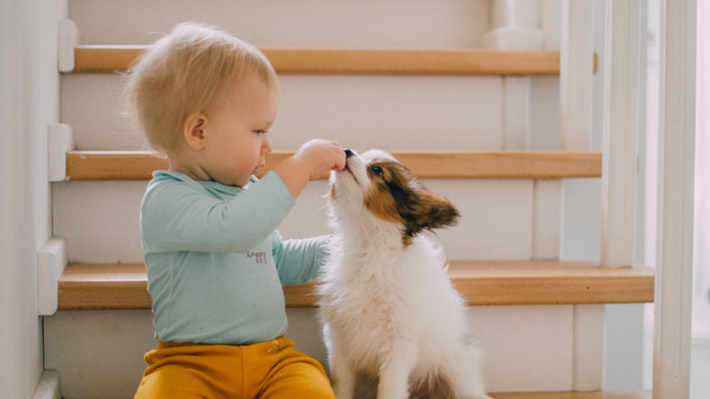 baby and dog on stairs