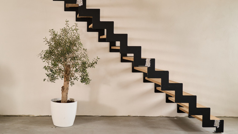 floating staircase with potted tree
