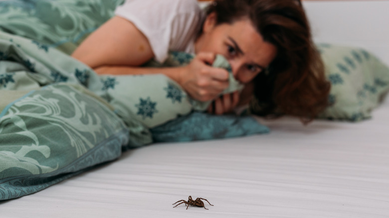 Scared woman with crawling spider 