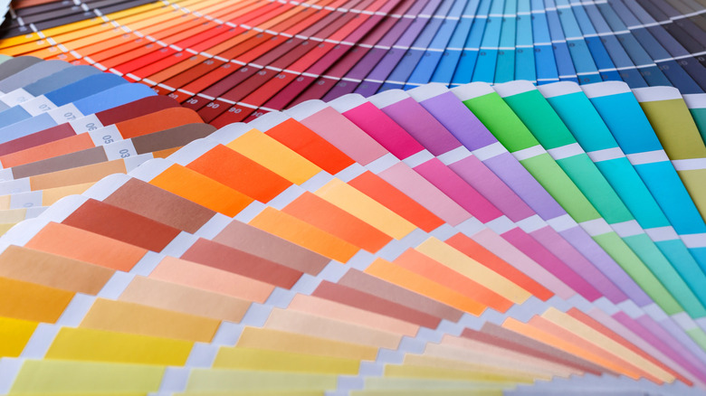 a close-up of various paint color swatches