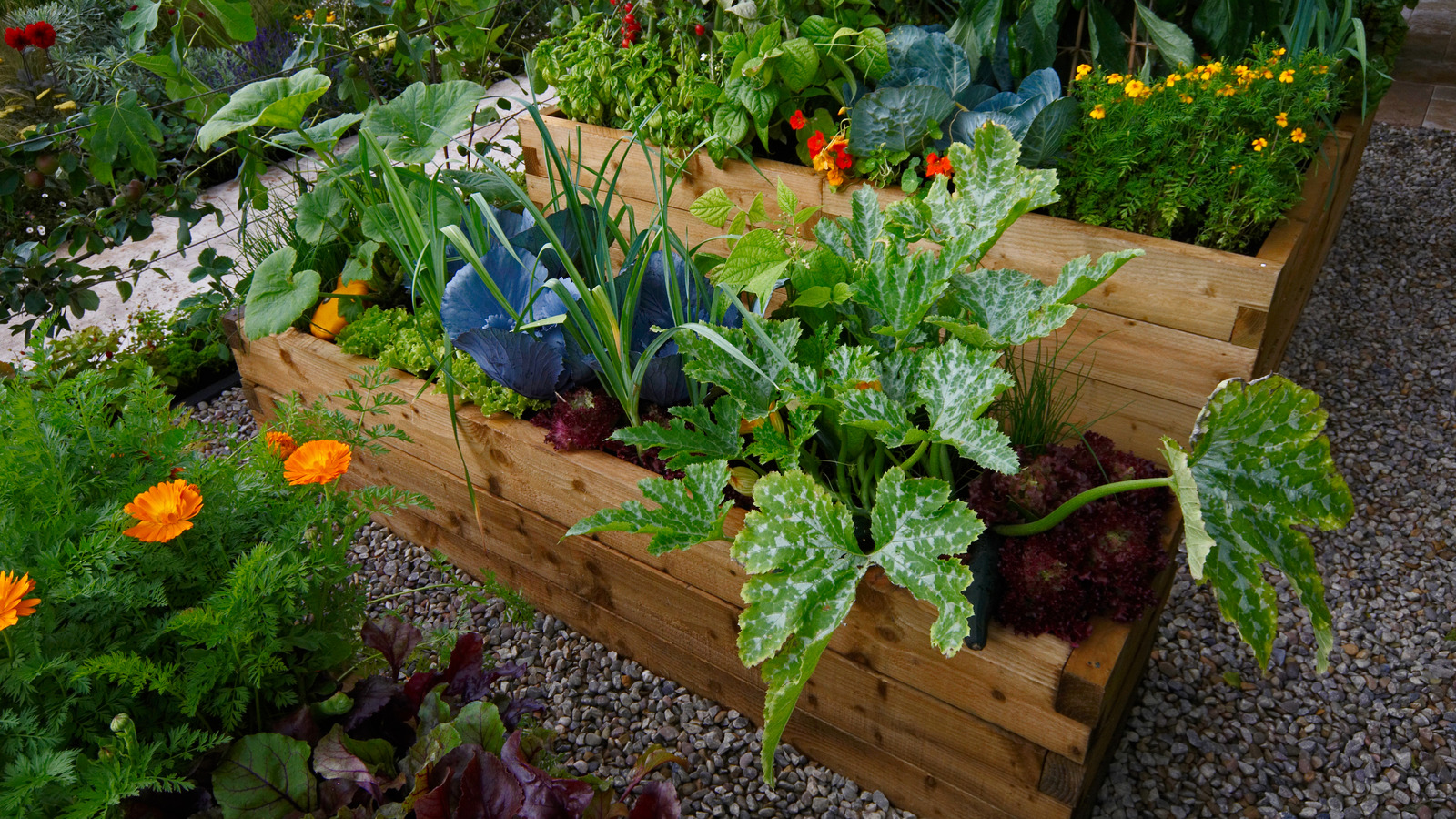 The One Flower To Plant In Your Garden To Help Deter Pests