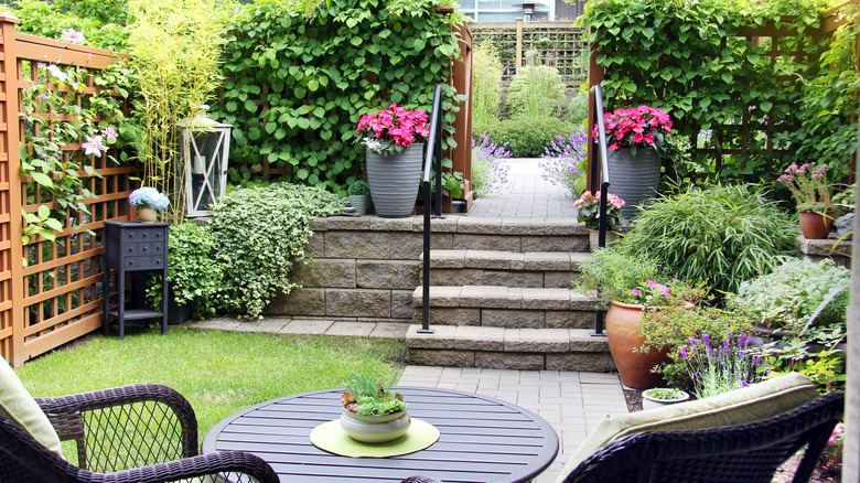 Garden with potted plants