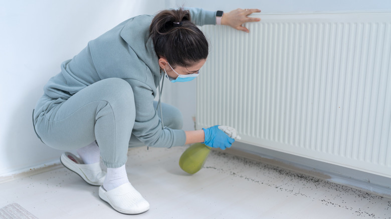 A woman squats to spray insecticide at the bottom of a wall-mounted heater at home.