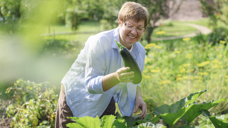 A smiling senior woman harvesting and holding a large zucchini.