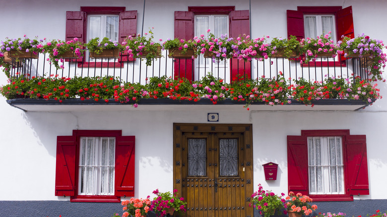 Exterior of house with flower boxes