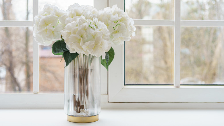 White hydrangea in glass vase on window sill