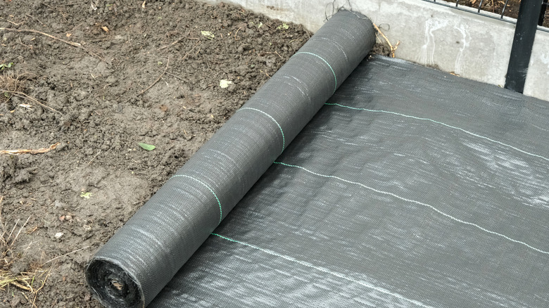A roll of landscape fabric on on bare earth