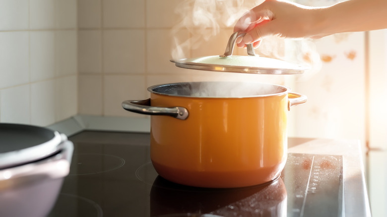 Steam comes out of an orange pot on an electrice stove top.