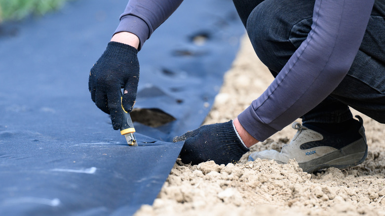 A person wearing black garden gloves spreads landscape fabric and makes a cut in its surface