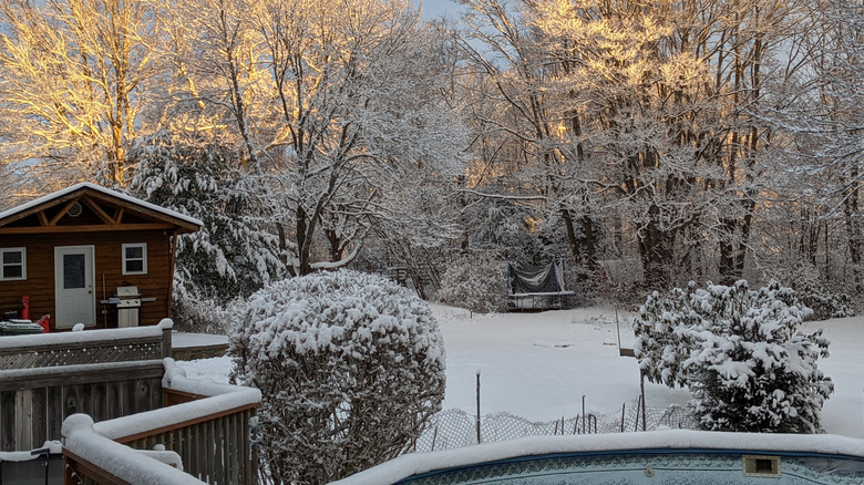 A backyard blanketed in snow