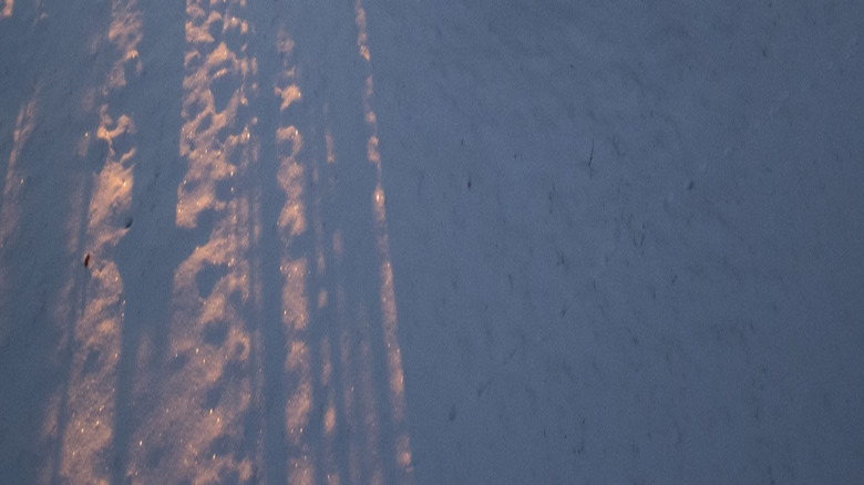 A shed in someone's backyard covered in snow and glistening in the morning sunlight