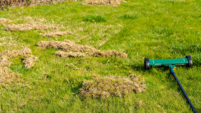 Piles of dead grass and a dethatching tool on a healthy, green lawn