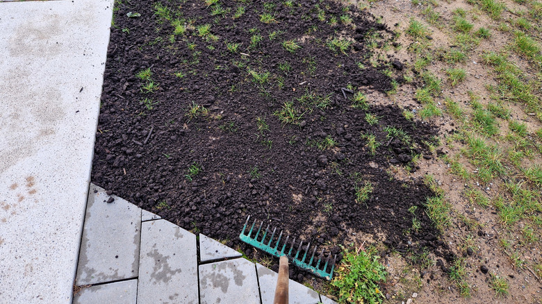 A sparse lawn, bordered by sidewalks, with top dressed soil applied to the top and a rake leaning nearby