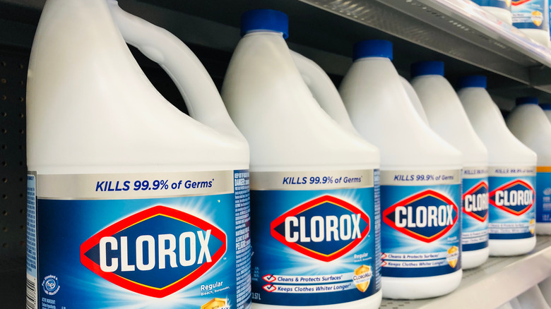 Bottles of Clorox bleach