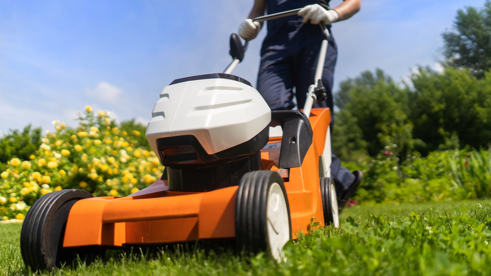 The One Thing To Check On Your Lawn Mower Before Your First Mow Of The Year