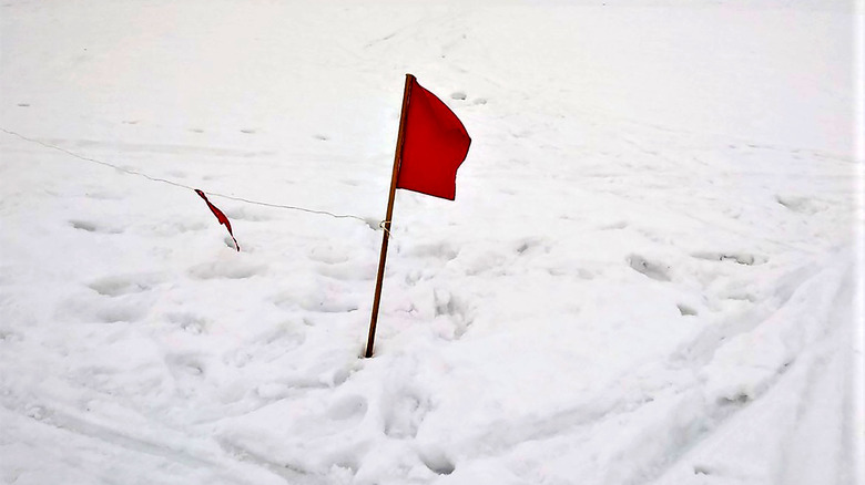 small red flag in snow
