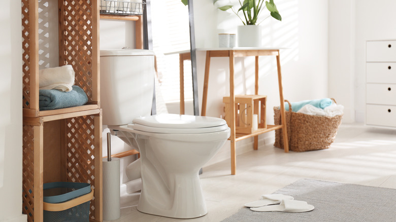 Stylish bathroom with toilet