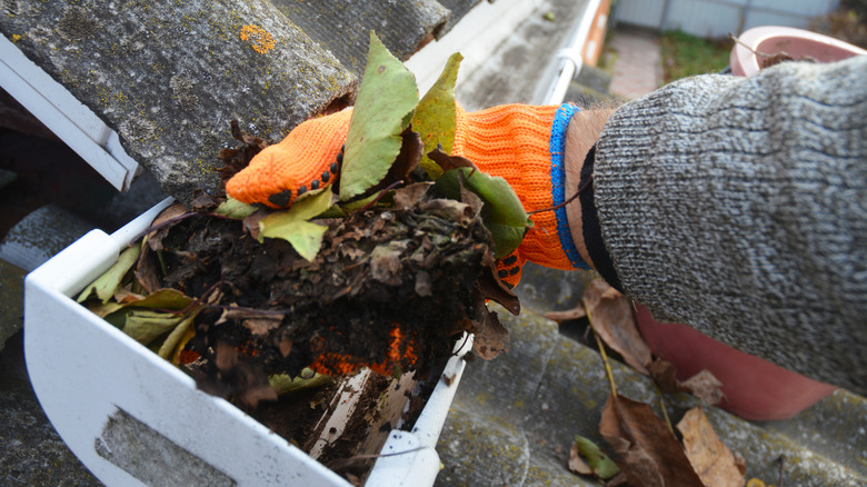 Gloved hand cleaning out gutter