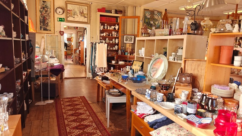 Thrift store featuring array of vintage and whimsical decor