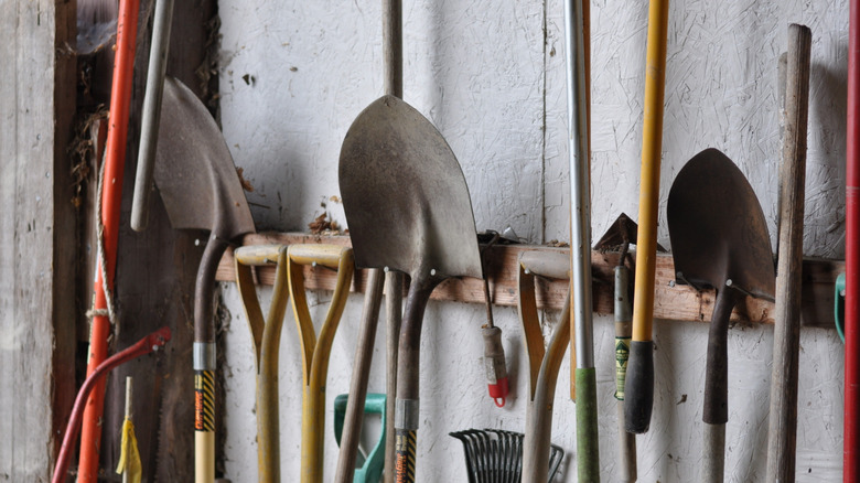 Garden tools hanging on nail hooks attached to a wooden beam inside a shed