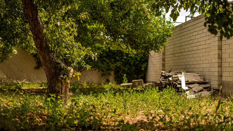 A grassy yard with a tree and some wooden planks stacked along the side