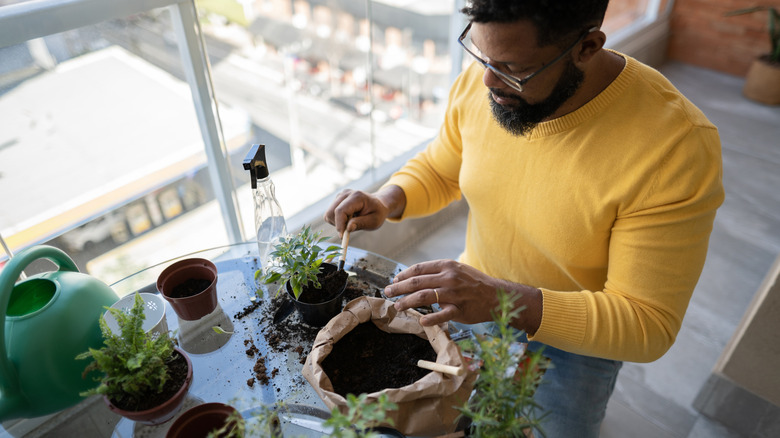Man potting plants at table