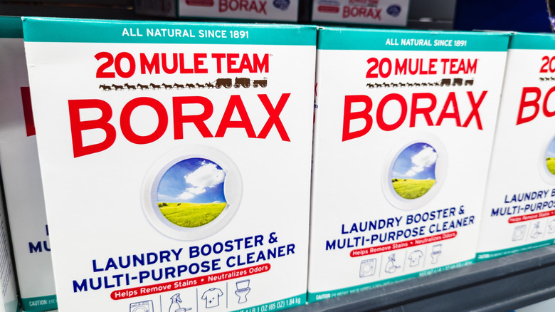 Boxes of borax on store shelf