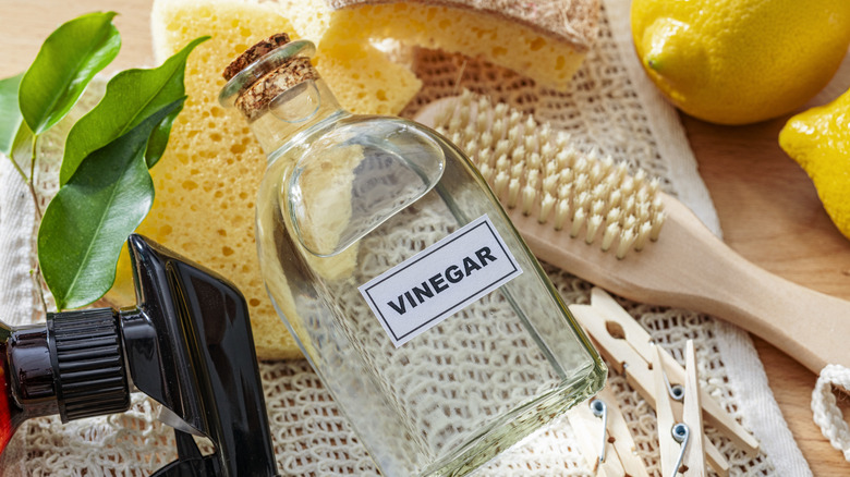 A bottle of vinegar next to cleaning tools