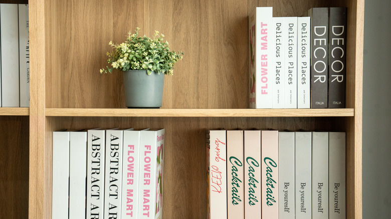 Shelves with books and decor on them