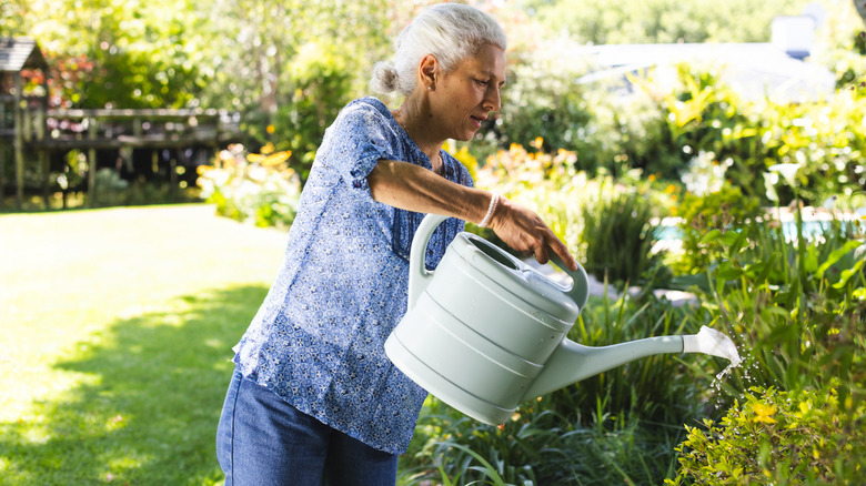 Woman watering shrubs in her garden