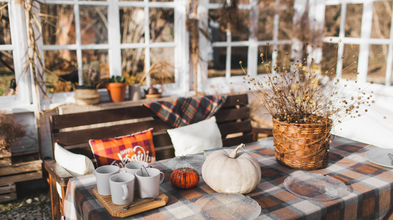 modern fall decor in a sunroom with natural light.