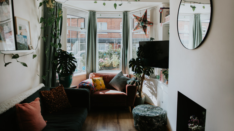 A parlor room furnished with contemporary and boho pieces and plants.