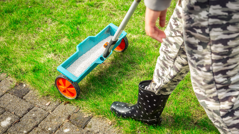 A person spreading fertilizer on their lawn