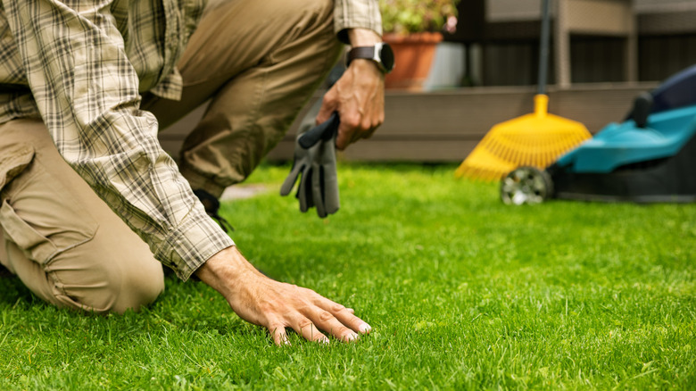 A man with a hand on a perfect lush green lawn
