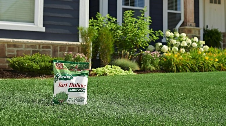A bag of Scotts Turf Builder fertilizer on a lush, green lawn