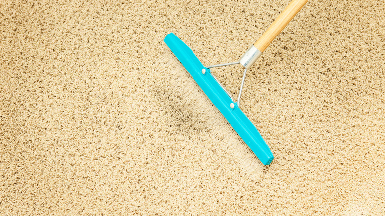 carpet rake being glided across carpet