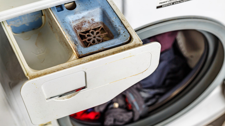 Dirty washing machine detergent drawer